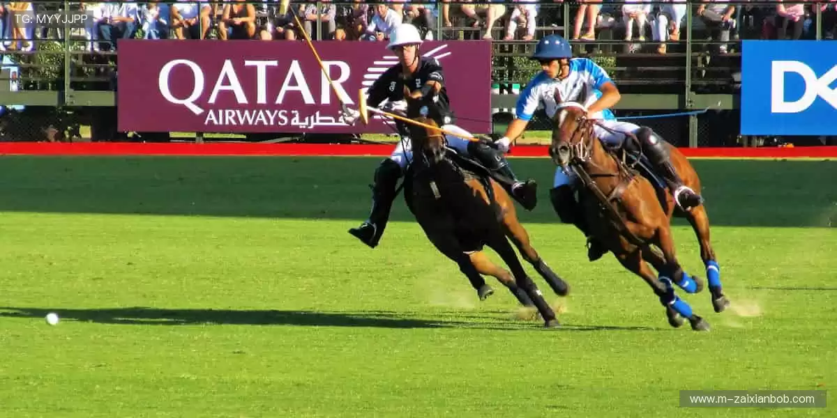 🎁 周边好物，把热爱穿在身上、握在手里！👕